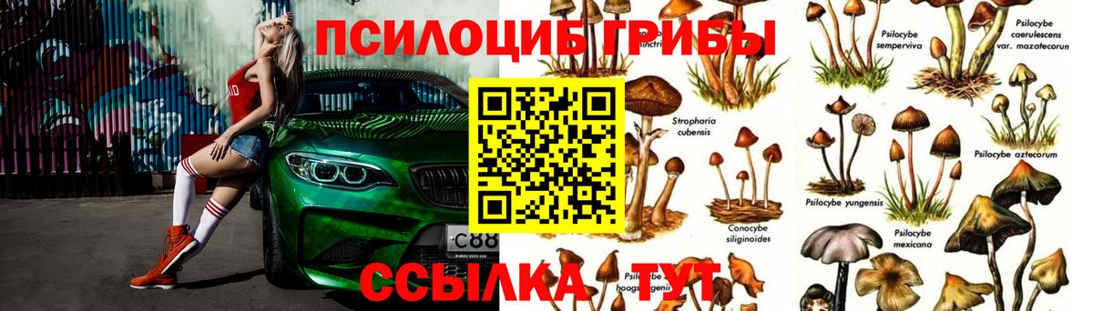 Псилоцибиновые грибы ЛСД  Псилоцибиновые грибы прущие грибы  Лесосибирск  Вход с VPN 