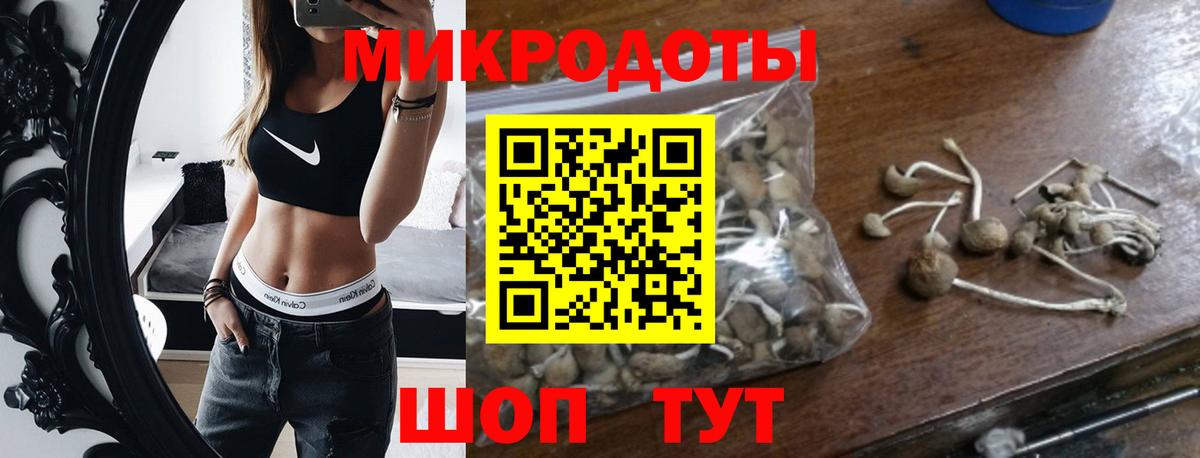 Псилоцибиновые грибы GOLDEN TEACHER Лесосибирск